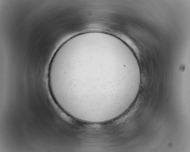 X0000102821431200809151005