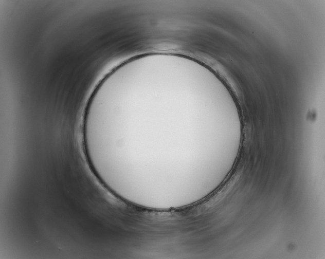 X0000102821432200809151005