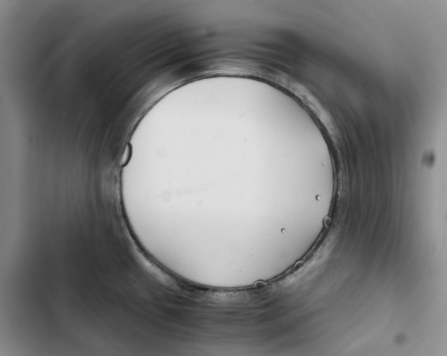 X0000102821433200809151005