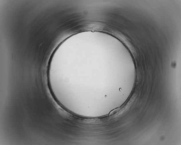 X0000102821434200809151005