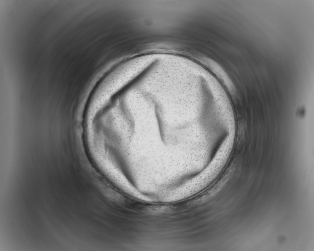 X0000102821435200809151005