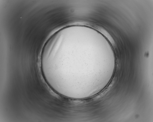 X0000102821436200809151005