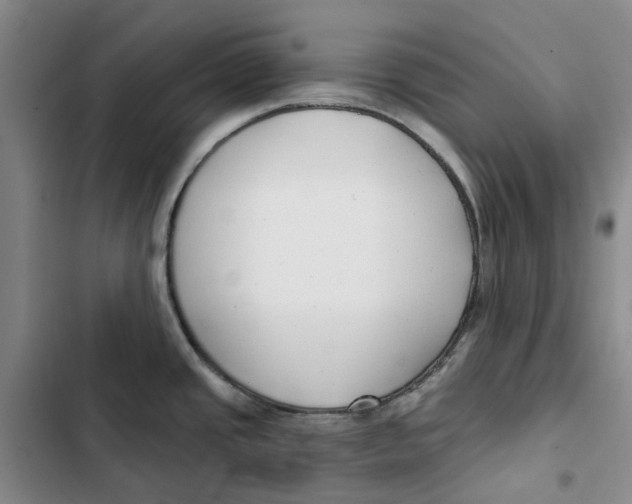 X0000102821437200809151005