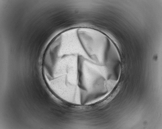 X0000102821438200809151005