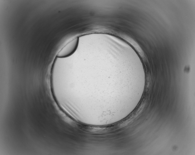 X0000102821439200809151005