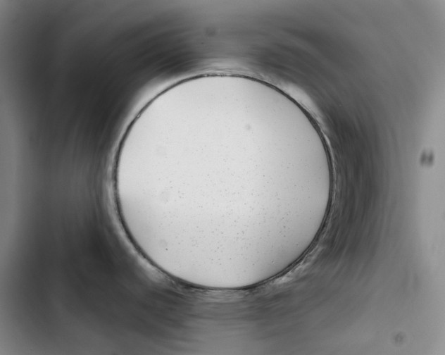 X0000102821440200809151005