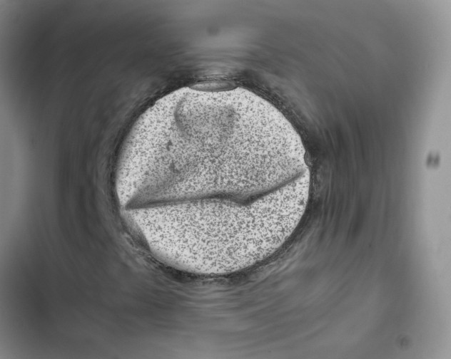 X0000102821441200809151004