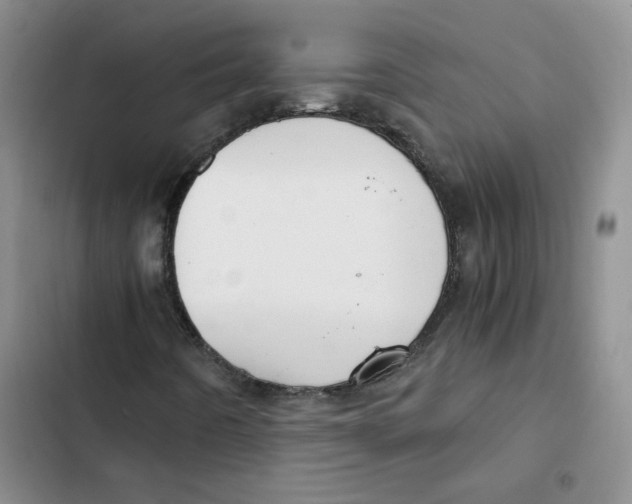 X0000102821442200809151004