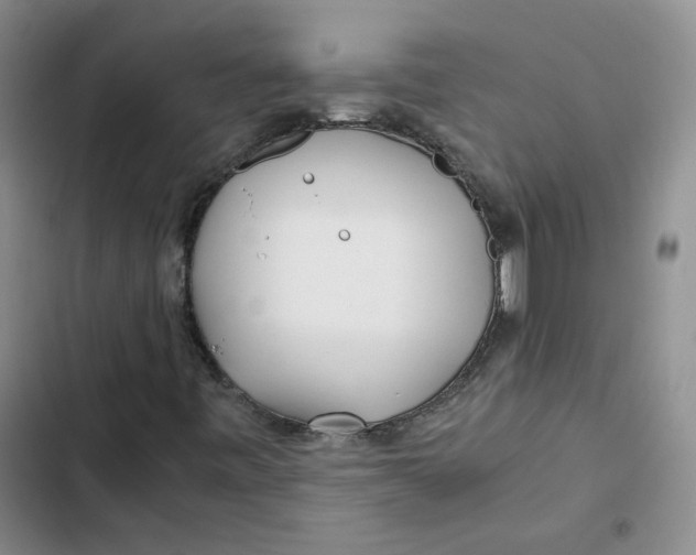 X0000102821443200809151004