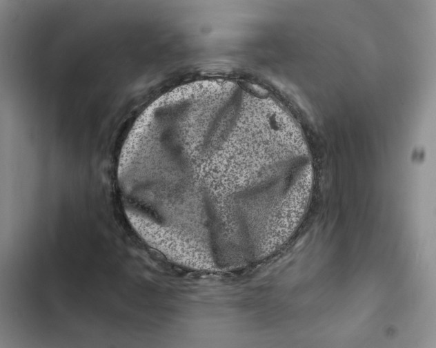 X0000102821445200809151004