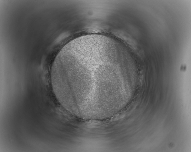 X0000102821446200809151004