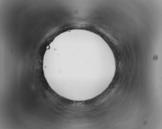 X0000102821447200809151004