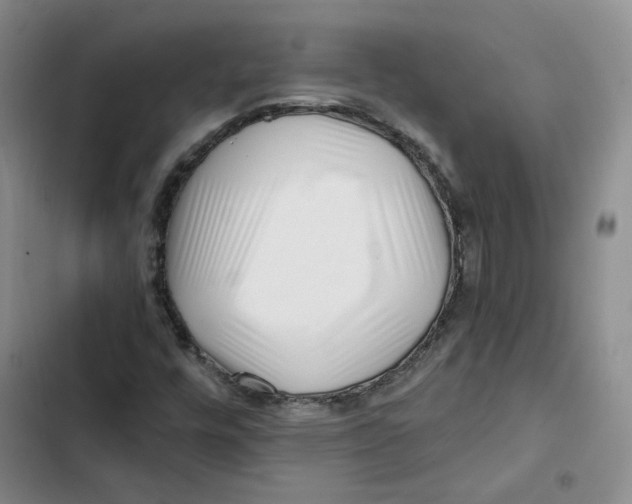 X0000102821448200809151004