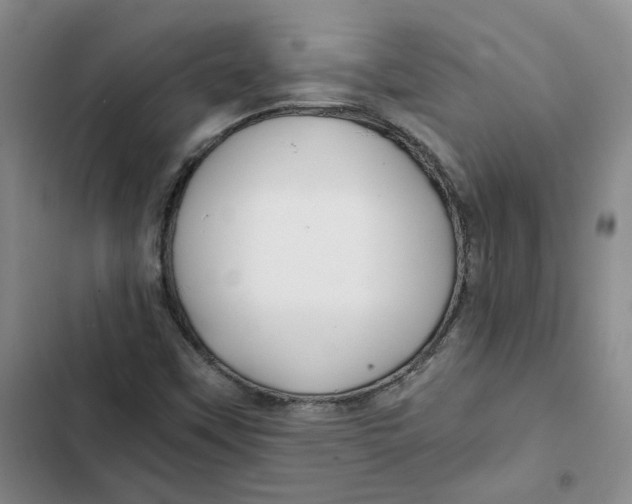 X0000102821451200809151004