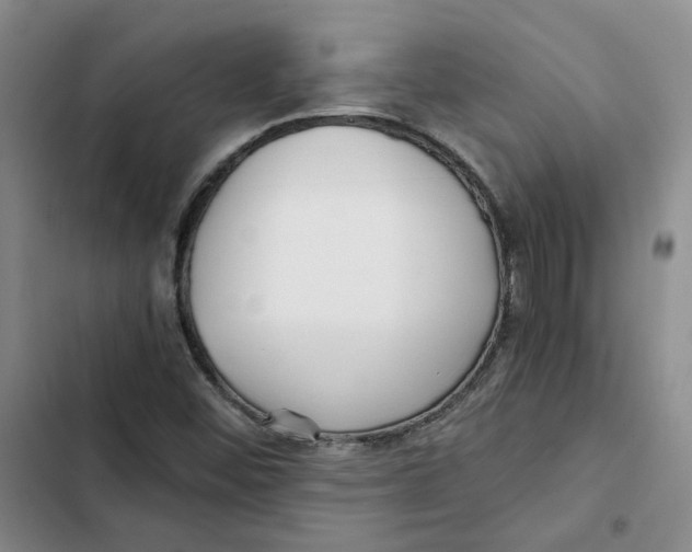 X0000102821452200809151004