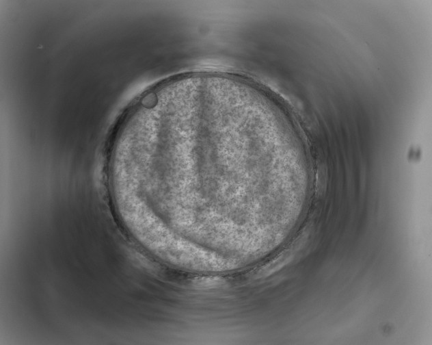 X0000102821454200809151004