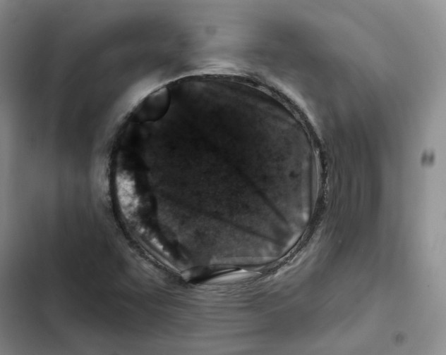 X0000102821455200809151004