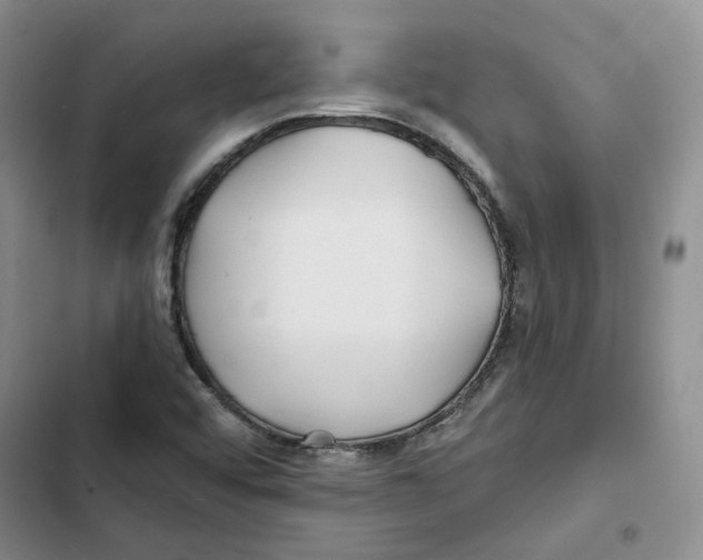 X0000102821456200809151004