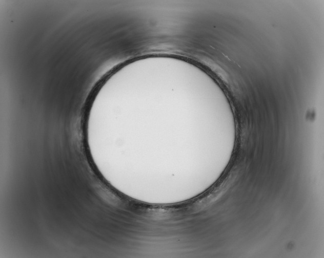 X0000102821458200809151004