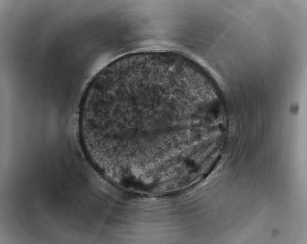 X0000102821459200809151004