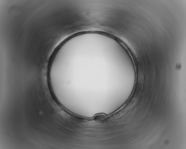 X0000102821460200809151004