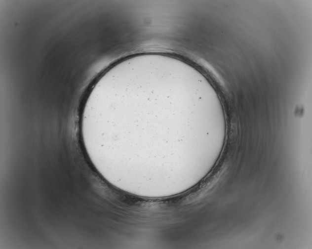 X0000102821461200809151004