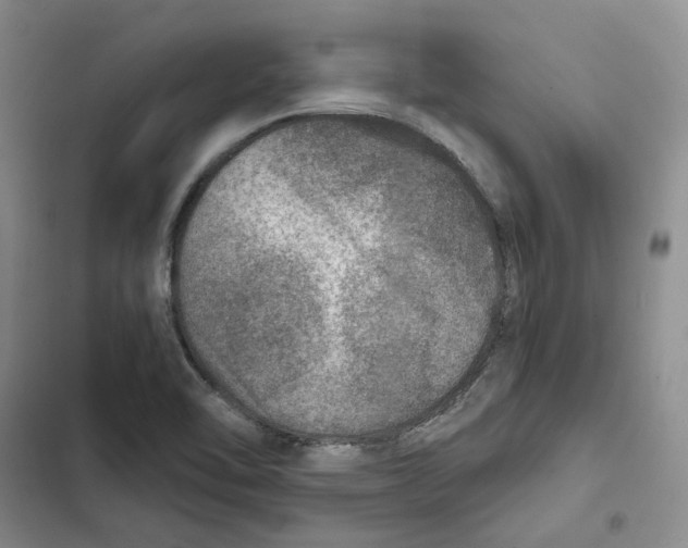 X0000102821462200809151004