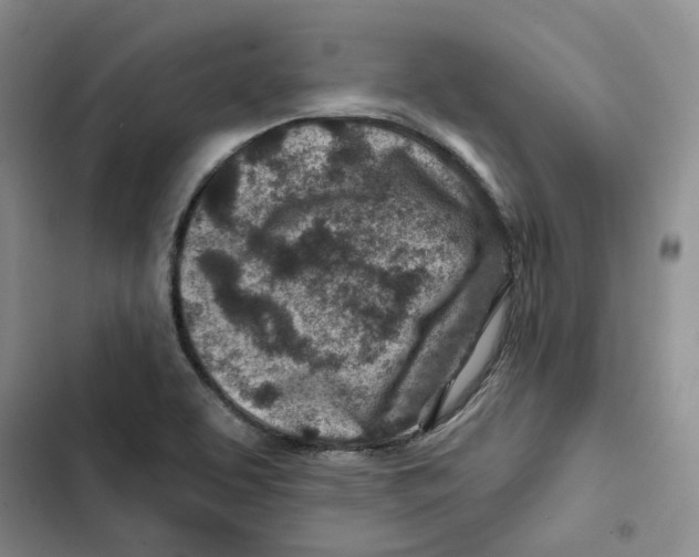 X0000102821463200809151004