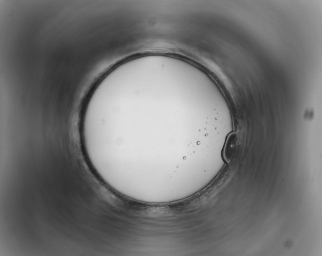 X0000102821464200809151004