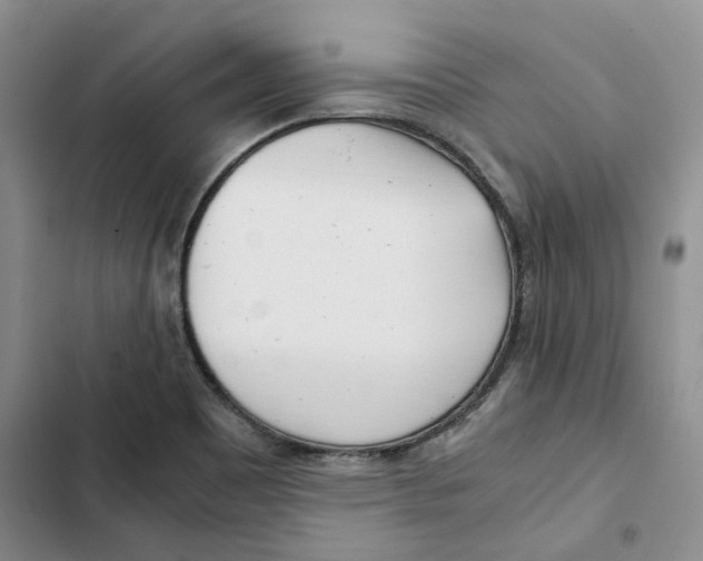 X0000102821465200809151004