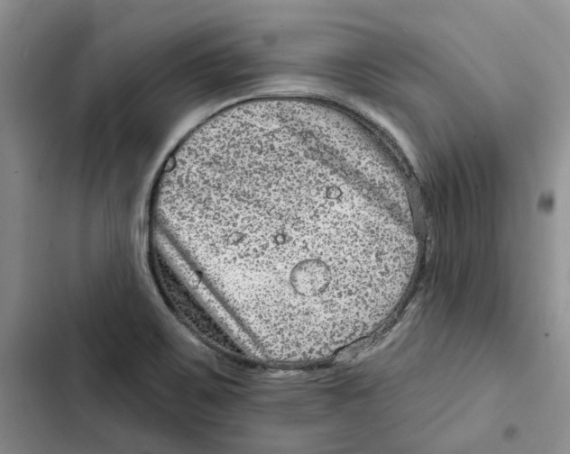 X0000102821467200809151004