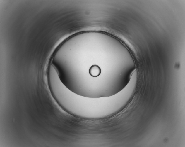 X0000102821468200809151004