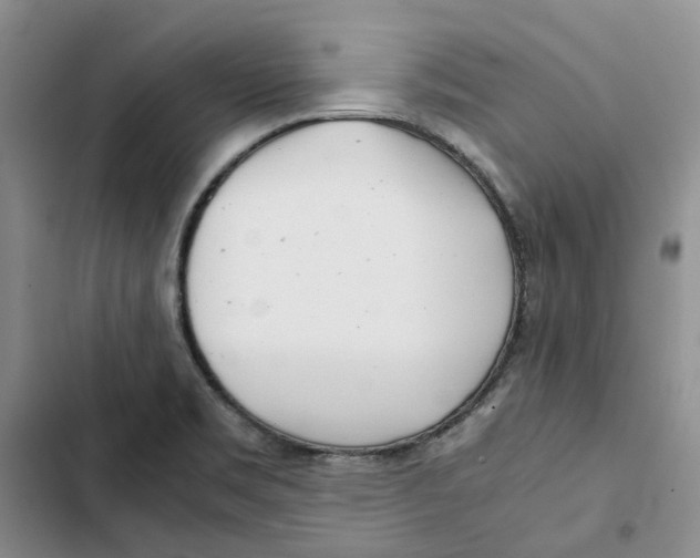 X0000102821469200809151004