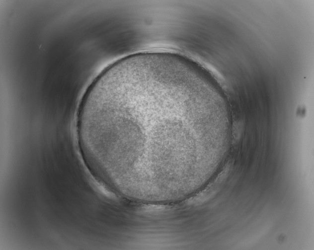 X0000102821470200809151004