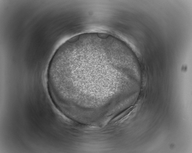 X0000102821471200809151004