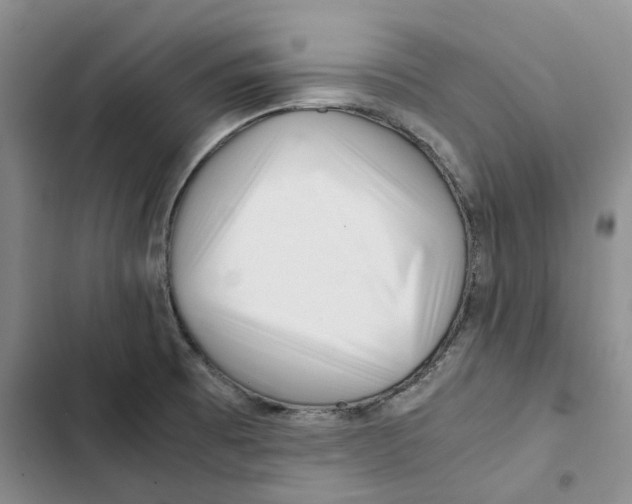 X0000102821473200809151004