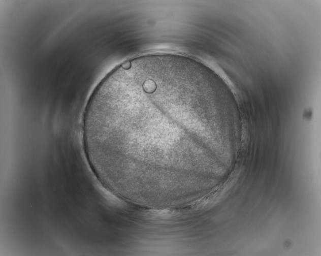 X0000102821474200809151004