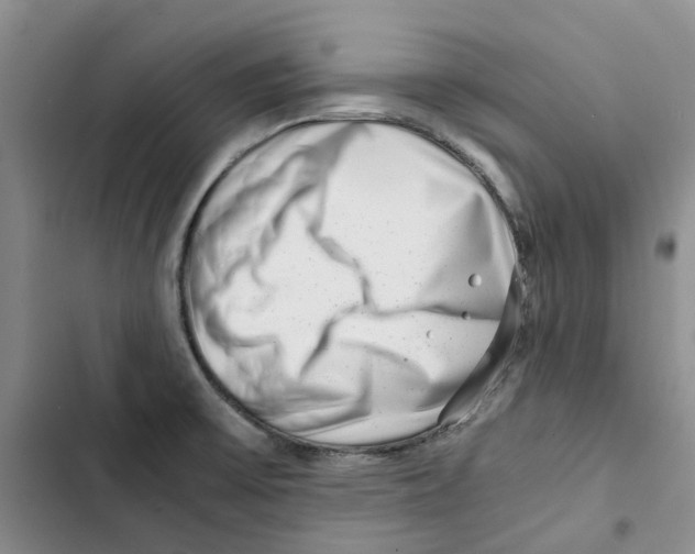 X0000102821475200809151004