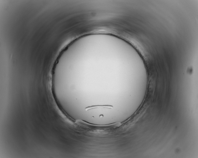 X0000102821476200809151004