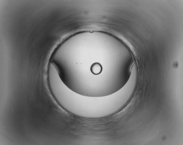 X0000102821477200809151003