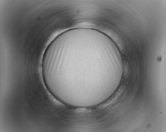 X0000102821478200809151003