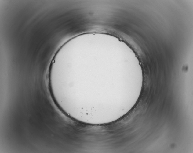 X0000102821479200809151003