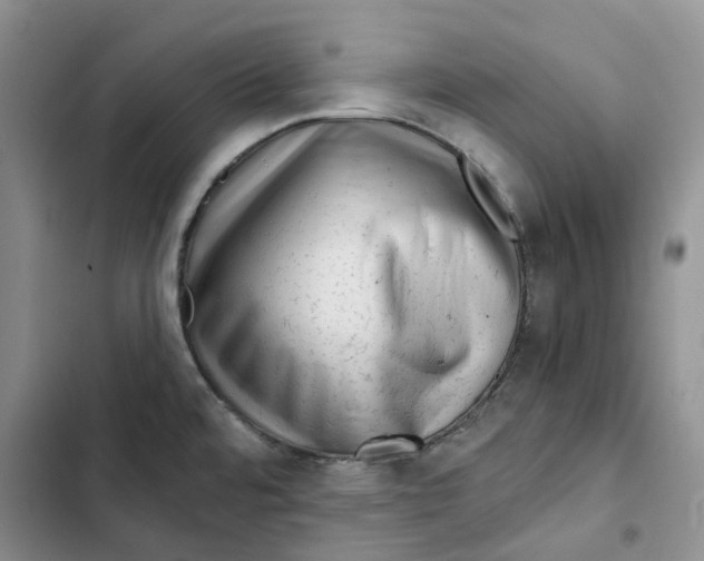 X0000102821480200809151003