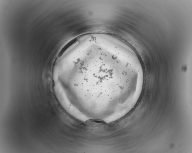 X0000102821481200809151003