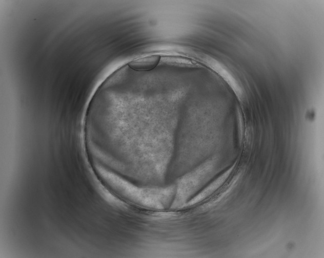 X0000102821482200809151003