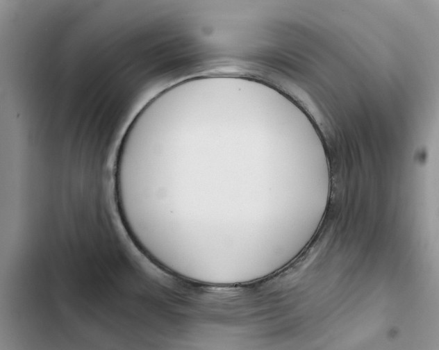 X0000102821483200809151003