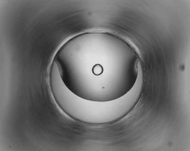 X0000102821484200809151003