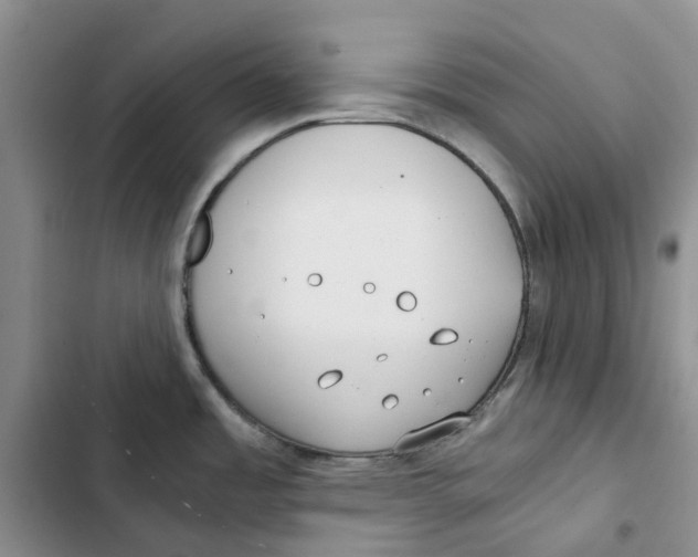 X0000102821485200809151003