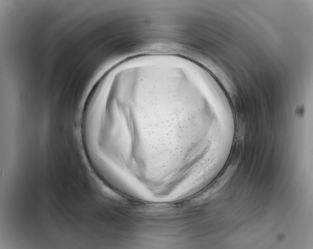 X0000102821486200809151003