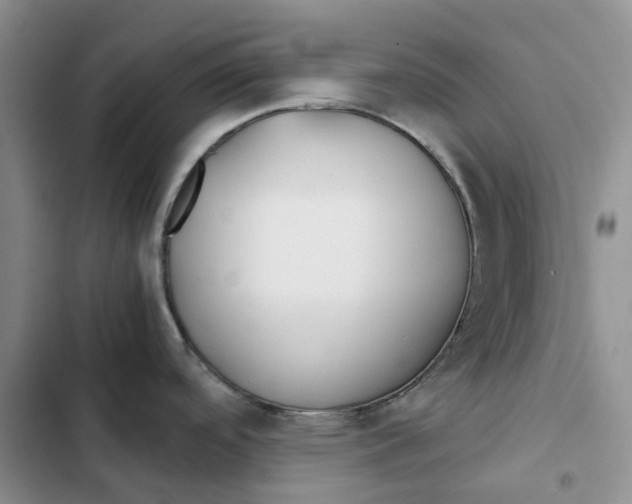 X0000102821488200809151003